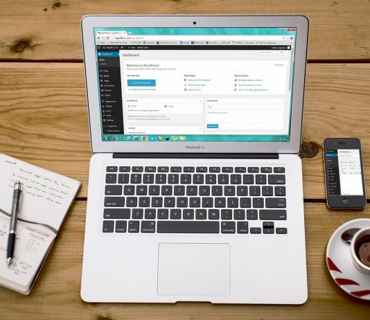 link building for brand new website