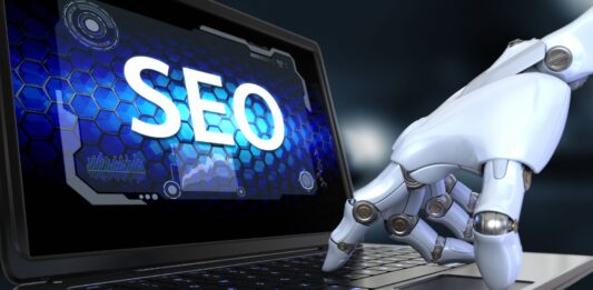 SEO Hosting for Private Blog Networks